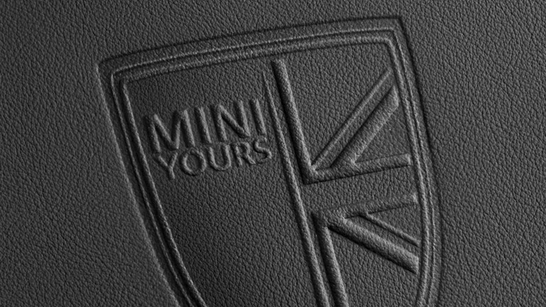 MINI YOURS 